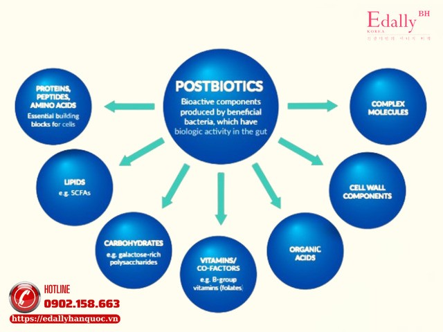 Postbiotic là gì và vì sao được sử dụng nhiều trong điều trị mụn?