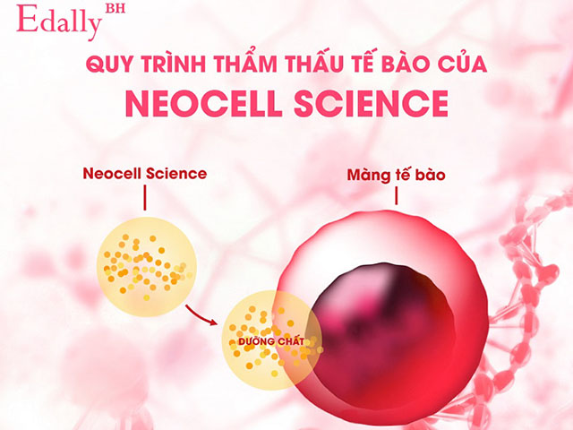 Quy trình thẩm thấu tế bào Neocell Science của Beauty Super Collagen Edally
