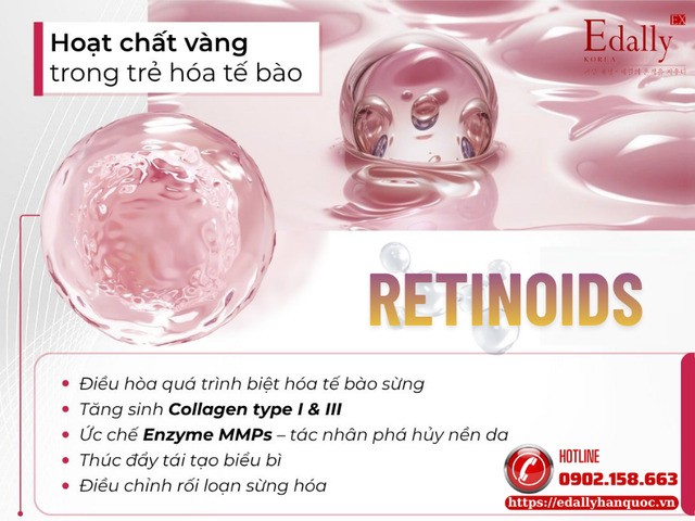 Retinoids trong mỹ phẩm - Hoạt chất vàng trong trẻ hóa tế bào và chống lão hóa da