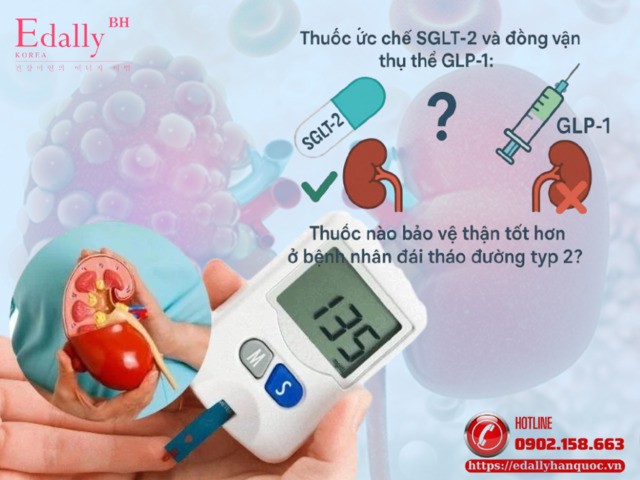 Ức Chế SGLT-2 Và Đồng Vận Thụ Thể GLP-1: Thuốc Nào Bảo Vệ Thận Bệnh Nhân Đái Tháo Đường Tốt Hơn?