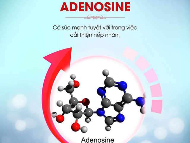 Adenosine trong Kem chống nắng dạng thỏi Edally EX Hàn Quốc 