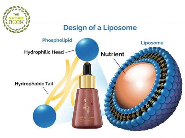 Ampoule trị nám da Nature Book Hàn Quốc sở hữu công nghệ Liposome tiên tiến