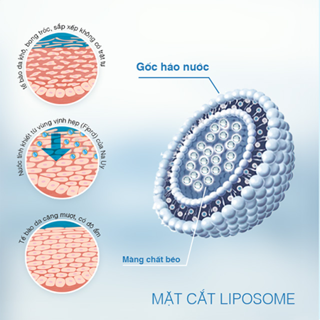 Ampoule Dưỡng Trắng Trị Nám Da The Nature Book Hàn Quốc áp dụng công nghệ độc quyền Liposome