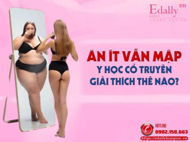 Ăn ít vẫn thừa cân béo phì y học cổ truyền giải thích thế nào?