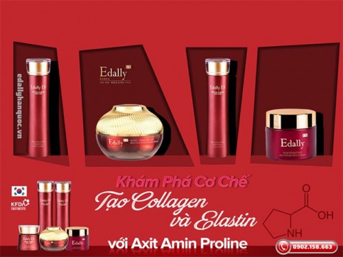 Khám Phá Cơ Chế Tái Tạo Collagen Và Elastin Từ Axit Amin Proline