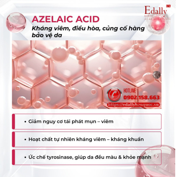 Azelaic Acid - Hoạt chất vàng kháng viêm và điều hòa làn da