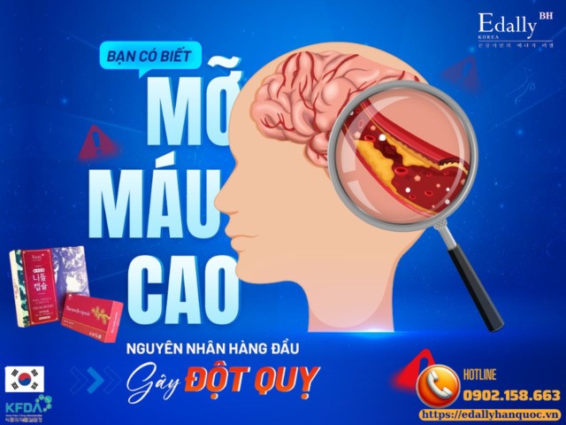 Bạn có biết bệnh mỡ máu cao là nguyên nhân hàng đầu gây đột quỵ?