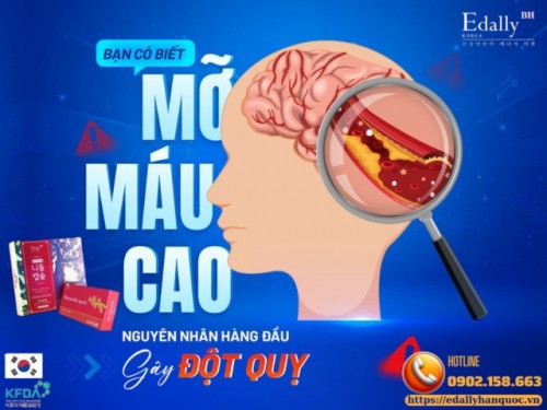 Bệnh Mỡ Máu Cao Có Nguy Hiểm Không?