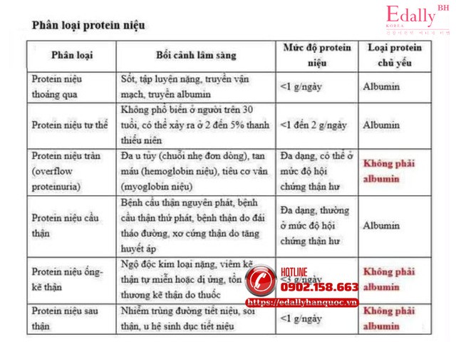 Bảng phân loại protein niệu (đạm niệu)