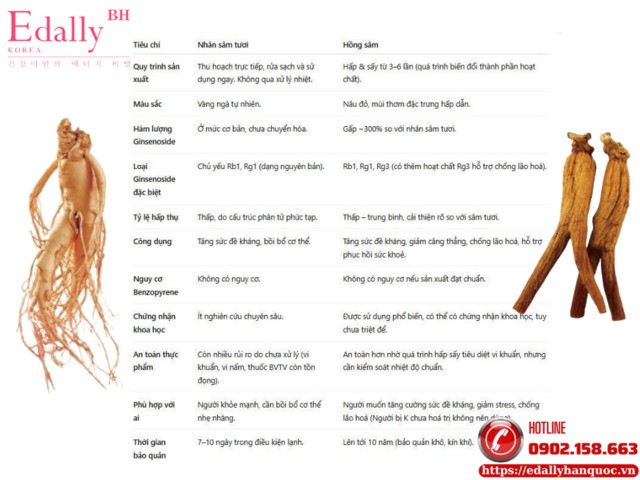 Bảng so sánh Hồng sâm và Nhân sâm