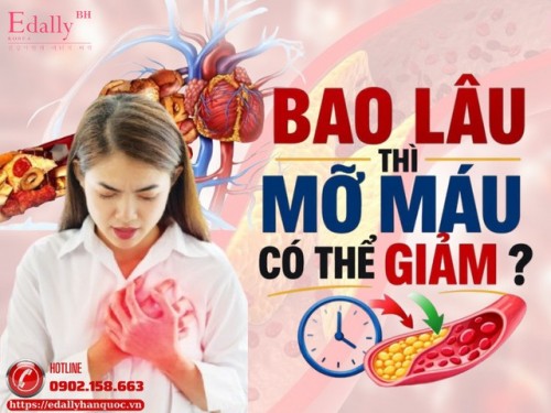 Bao Lâu Thì Mỡ Máu Có Thể Giảm?