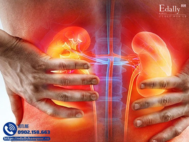 Bảo vệ thận và giữ gìn sức khỏe tiết niệu