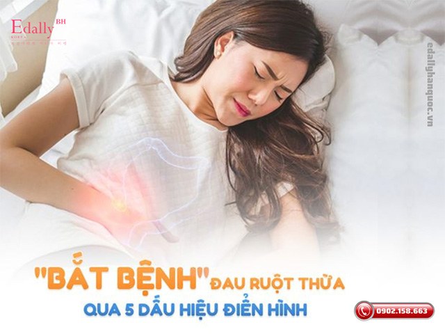 Bắt bệnh viêm ruột thừa qua 5 triệu chứng điển hình