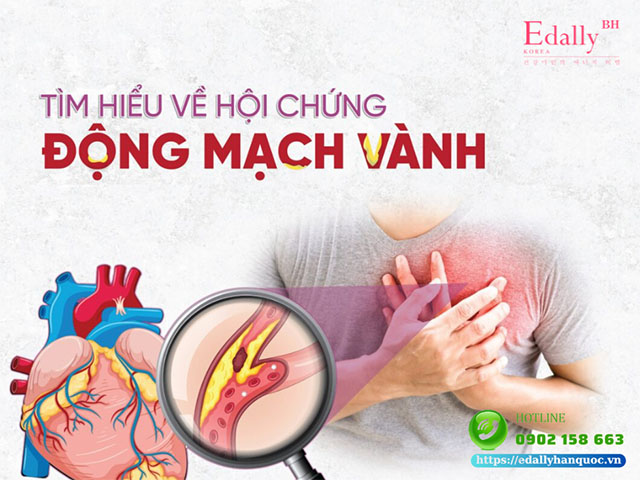 Bệnh Động Mạch Vành: Những Lời Cảnh Báo