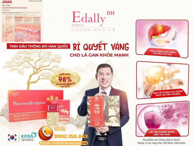 Bệnh gan liên quan đến rượu (ALD) - Tổng quan trên Jama 2026