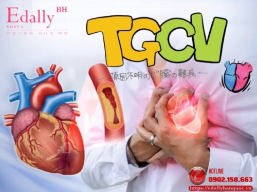 Bệnh Mạch Máu Cơ Tim Do Lắng Đọng Triglyceride (TGCV)