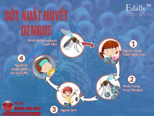 Bệnh Sốt Xuất Huyết: Nguyên Nhân, Triệu Chứng Và Cách Phòng Chống
