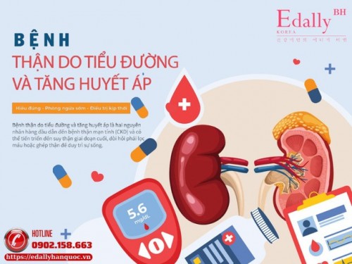 Bệnh Thận Do Tiểu Đường Và Tăng Huyết Áp: Hiểu Đúng, Phòng Ngừa Sớm, Điều Trị Kịp Thời