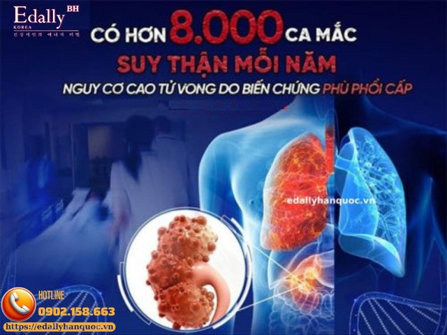 Bệnh Thận Mạn Tính (CKD): Cơ Chế Bệnh Sinh, Chẩn Đoán Và Quản Lý Dựa Trên Bằng Chứng