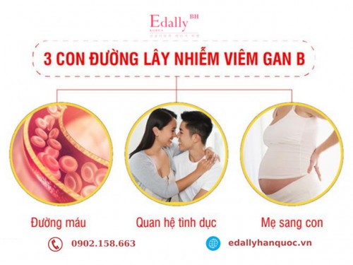 Bệnh Viêm Gan B Được Gây Nên Bởi Những Nguyên Nhân Nào? 