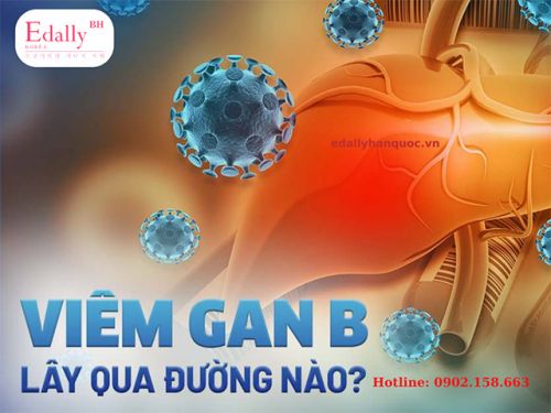 Bệnh Viêm Gan B Lây Nhiễm Qua Đường Nào? Cách Phòng Tránh Virus Viêm Gan B?