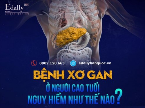 Bệnh Xơ Gan Ở Người Cao Tuổi Nguy Hiểm Như Thế Nào?