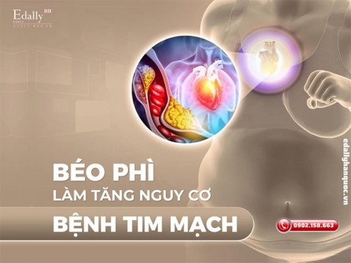 Béo Phì Và Bệnh Lý Tim Mạch - Báo Cáo Khoa Học Từ AHA