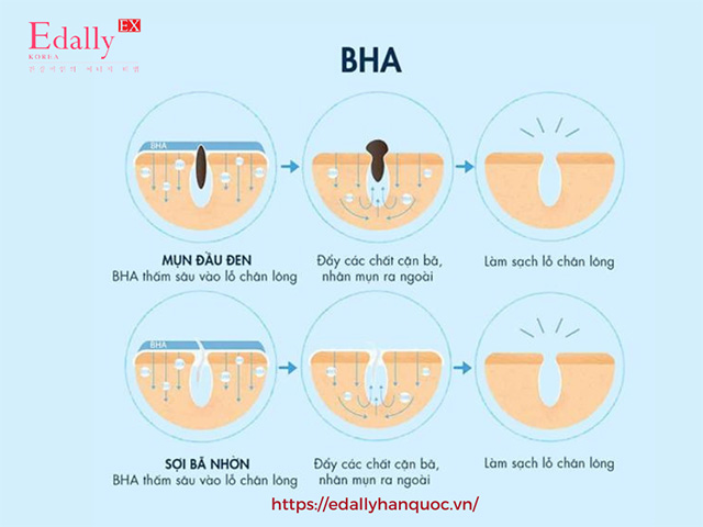 Tác dụng của BHA là gì?