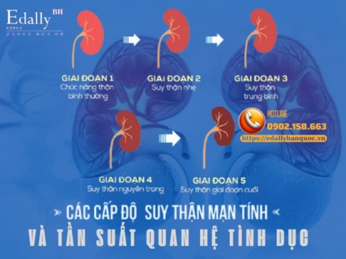 Bị Bệnh Suy Thận Mạn Giai Đoạn 3 Thì Có Phải Hạn Chế Quan Hệ Tình Dục Không? 