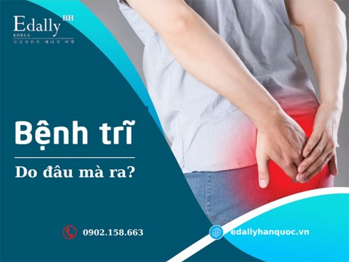 Những Yếu Tố Nguy Cơ Gây Bệnh Trĩ Bạn Cần Biết