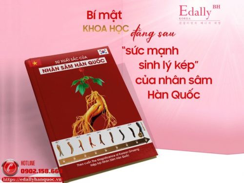 Bí Mật Khoa Học Đằng Sau Sức Mạnh Sinh Lý Kép Của Nhân Sâm Hàn Quốc