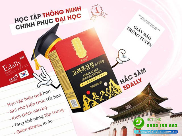 Bí quyết cùng con học tập thông minh, bứt phá điểm số, chinh phục đại học