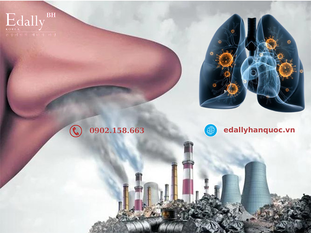 Bị bệnh ung thư phổi do ô nhiễm môi trường