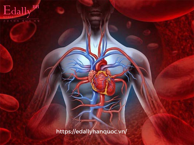 Biến chứng tim mạch do bệnh đái tháo đường và tăng mỡ máu nguy hiểm như thế nào?