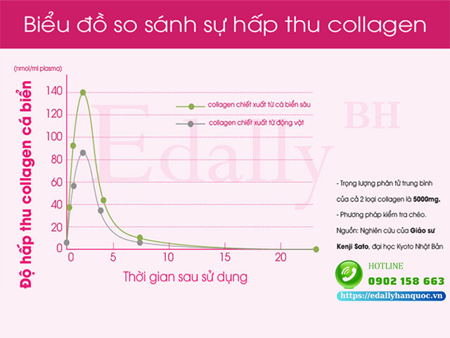 Biểu đồ so sánh khả năng hấp thu collagen cá biển và collagen thường của GS. Kenji Sato - Đại học Kyodo Nhật Bản