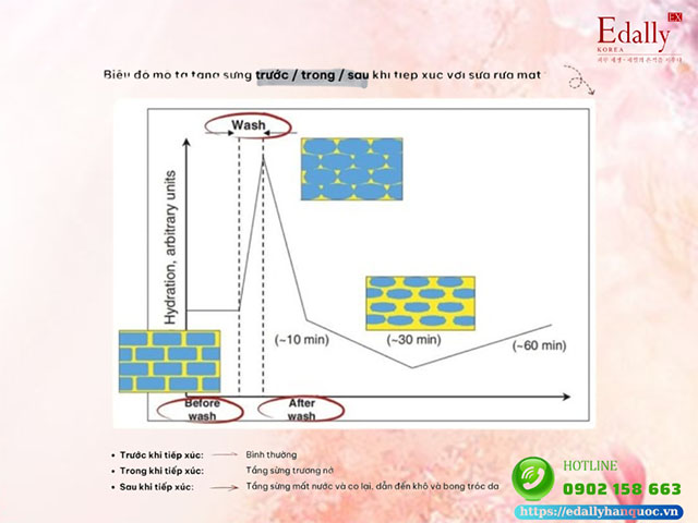 Biểu đồ so sánh tăng sừng trước và sau khi da tiếp xúc với sữa rửa mặt