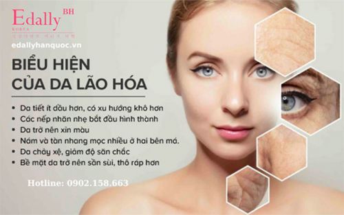 6 Dấu Hiệu Lão Hóa Da Và Cách Khắc Phục Đơn Giản Nhất