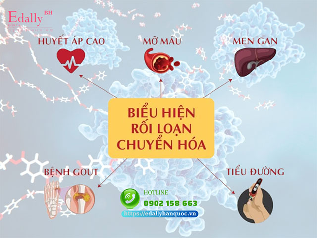 Biểu hiện của hội chứng rối loạn chuyển hóa