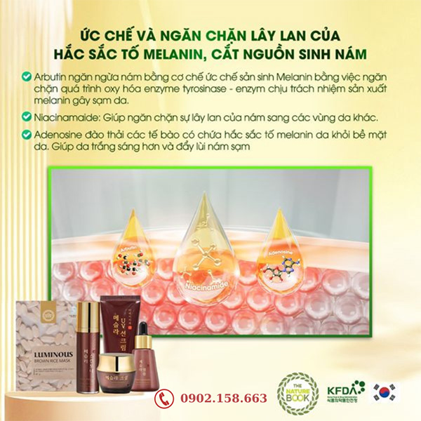 Cơ chế ức chế và ngăn chặn lây lan của hắc sắc tố Melanin, cắt nguồn sinh nám của Bộ trị sạch nám trắng da Mesla The Nature Book Hàn Quốc