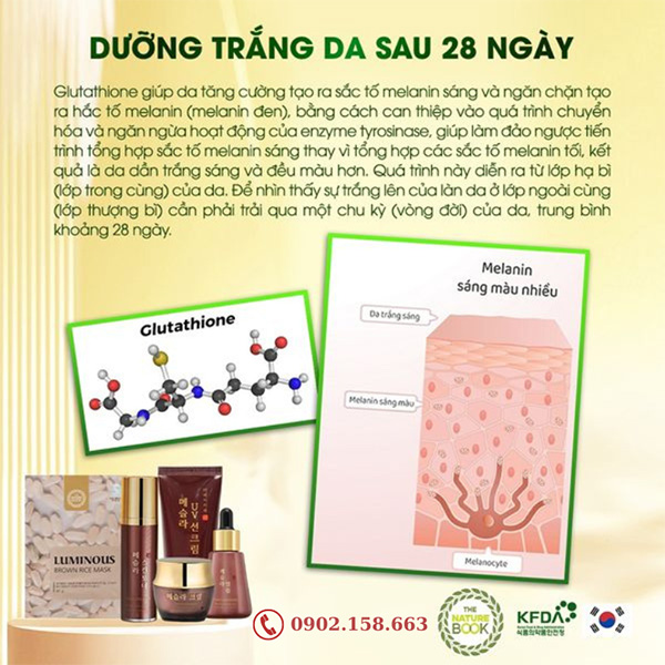 Cơ chế dưỡng trắng da của Bộ trị sạch nám trắng da Mesla The Nature Book Hàn Quốc