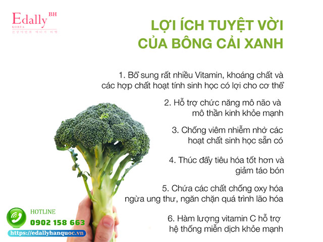 Bông cải xanh là thực phẩm chứa nhiều chất chống oxy hóa như vitamin A, C, E và acid folic giúp cho làn da trắng sáng, khỏe mạnh