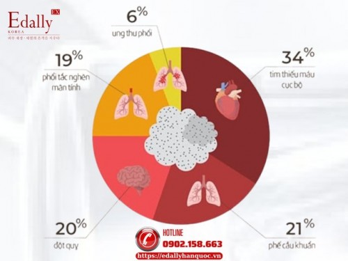 Bụi Bẩn Và Ô Nhiễm Không Khí - Mối Nguy Âm Thầm Đe Dọa Sức Khỏe