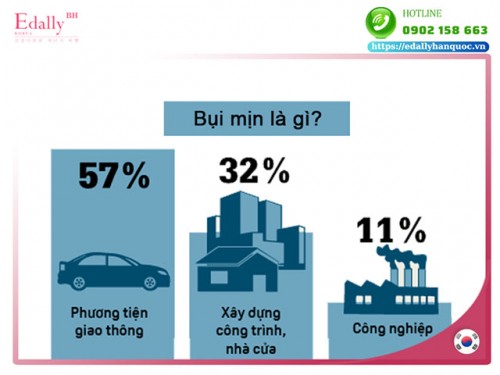 Bụi Mịn Và Nguy Cơ Ảnh Hưởng Đến Sức Khỏe, Làn Da Của Bạn