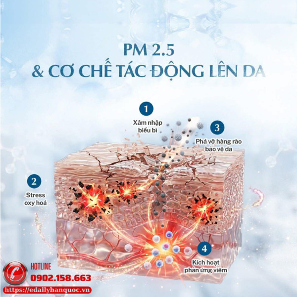 Bụi mịn PM2.5 và cơ chế tác động đến làn da