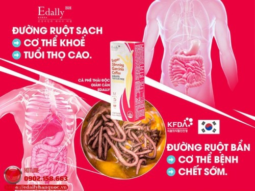 Đường Ruột - Bộ Não Thứ Hai Của Cơ Thể Và Chìa Khóa Cho Sức Khỏe Toàn Diện Đường Ruột - Bộ Não Thứ Hai Của Cơ Thể Và Chìa Khóa Cho Sức Khỏe Toàn Diện