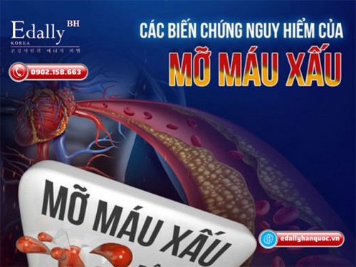 Các Biến Chứng Nguy Hiểm Của Mỡ Máu Xấu