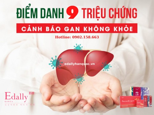 Các Biểu Hiện Của Chức Năng Gan Kém