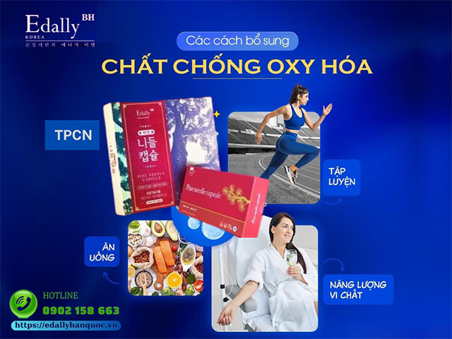 Các cách bổ sung chất chống oxy hóa cho cơ thể đơn giản và dễ thực hiện