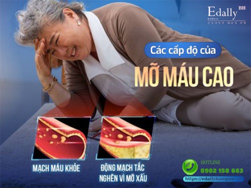 Các Cấp Độ Mỡ Máu Và Cách Hạ Mỡ Máu Cao Hiệu Quả 