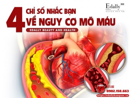 Các Chỉ Số Mỡ Máu Quyết Định Sức Khỏe Tim Mạch